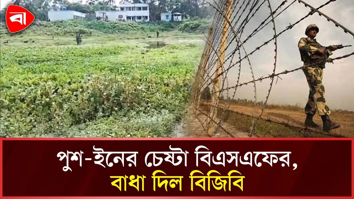 মাটিলা সীমান্তে বিএসএফের পুশ-ইনের চেষ্টা, বিজিবির বাধা