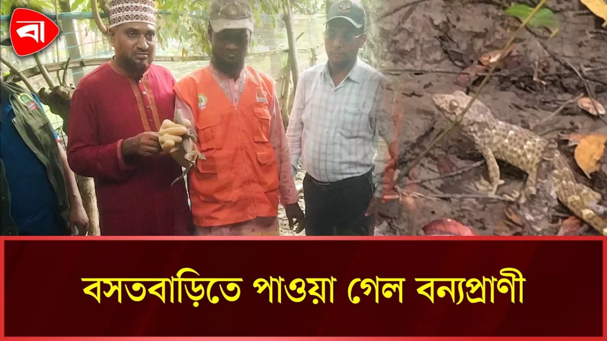 কয়রায় বাড়ি থেকে ‘তক্ষক’ উদ্ধার