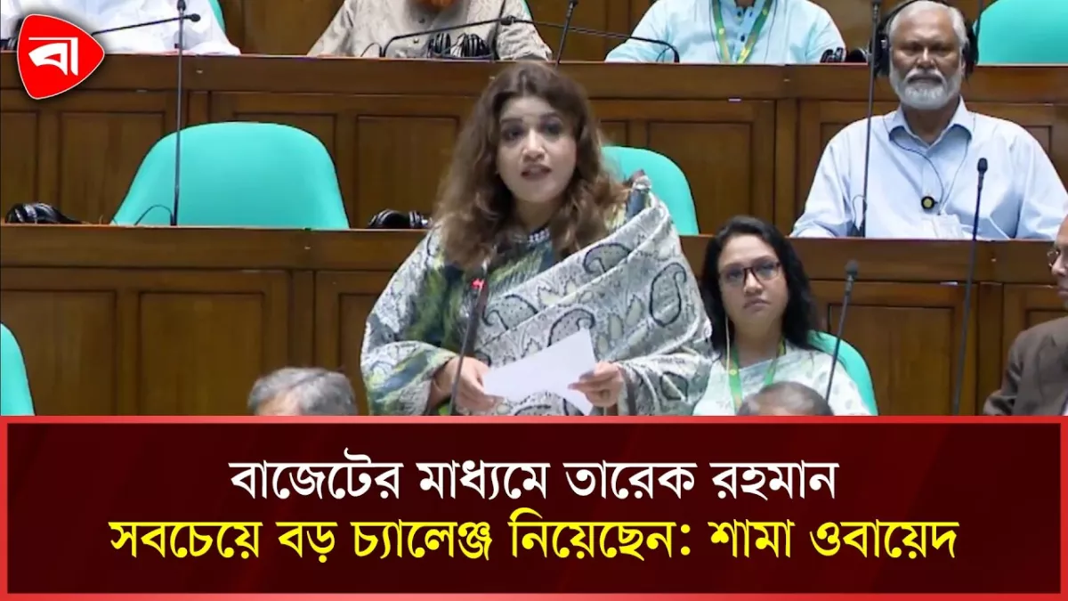 বিরোধী দল থেকে বলা হয়েছে, এ বাজেট দিবাস্বপ্ন: পরররাষ্ট্র প্রতিমন্ত্রী