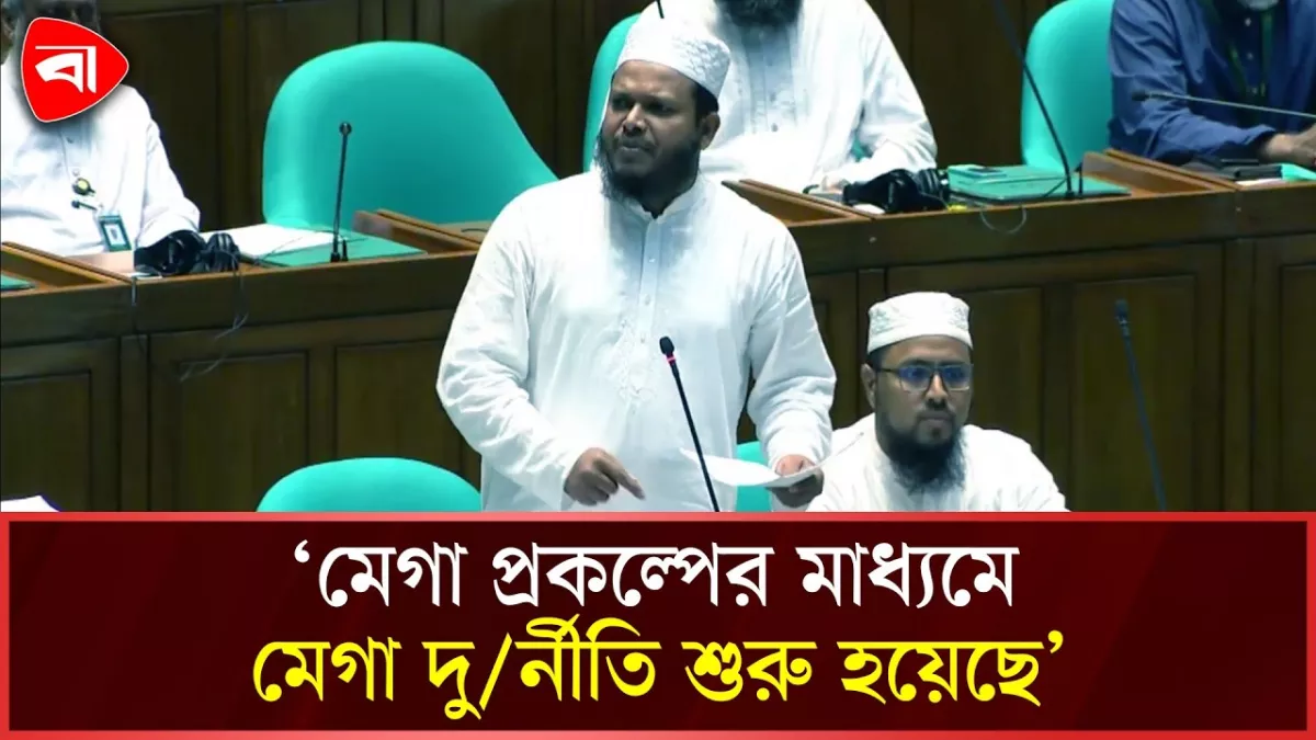 এই সরকার দুর্নীতিকে প্রমোট করেছে: এমপি সালাহউদ্দিন