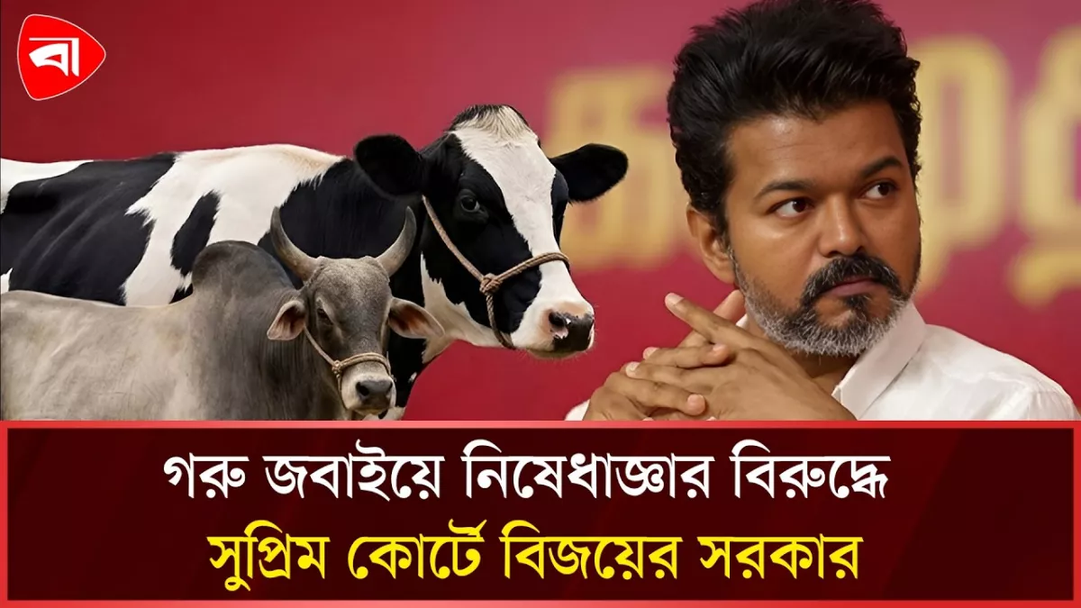 গরু জবাইয়ে নিষেধাজ্ঞার বিপক্ষে থালাপতি বিজয়ের সরকার