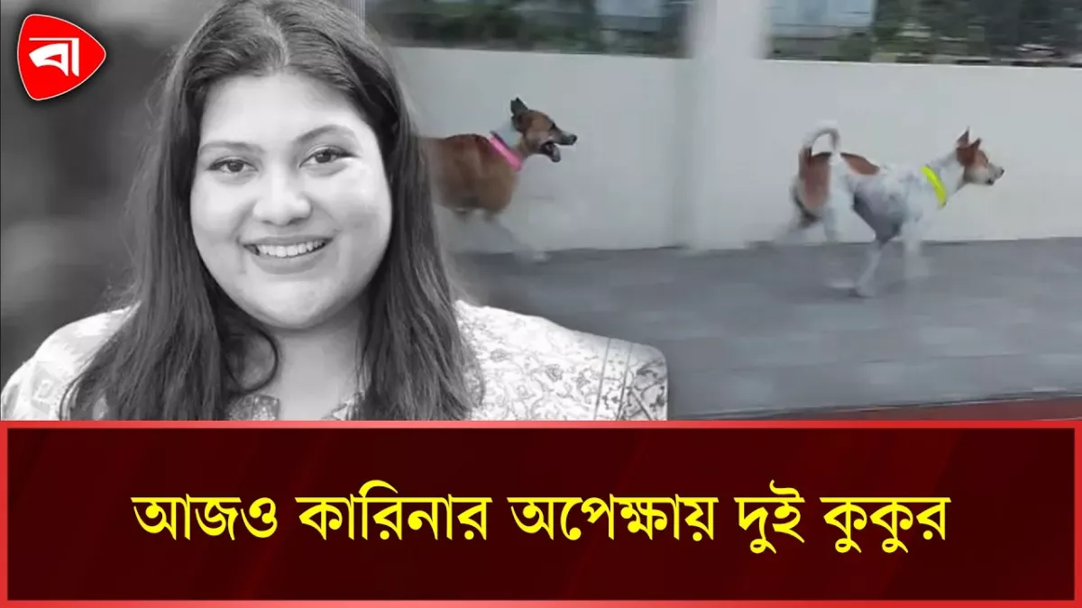 অনেকে ভুলে গেলেও ভোলেনি কুকুর