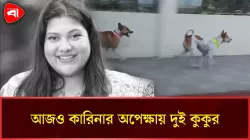 অনেকে ভুলে গেলেও ভোলেনি কুকুর