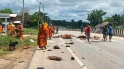 থাইল্যান্ডে ১১ বছরের শিশুর গাড়িচাপায় ৯ বৌদ্ধ ভিক্ষুর মৃত্যু