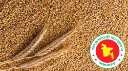 যুক্তরাষ্ট্র-সিঙ্গাপুর থেকে ২ লাখ ৭০ হাজার মেট্রিক টন গম কিনবে সরকার