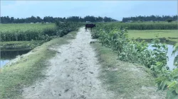 কাবিখা-কাবিটার কোটি টাকার প্রকল্পে অনিয়মের অভিযোগ
