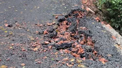 ১৫ দিনেই নতুন সড়কে ধস 