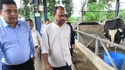 দেশী জাতের গবাদিপশু উন্নয়নে কার্যকর পদক্ষেপ নেওয়া হবে: প্রতিমন্ত্রী