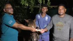 অন্ধ ঘোড়ার দেখভাল করা শিক্ষার্থী সোহানের পাশে প্রধানমন্ত্রী