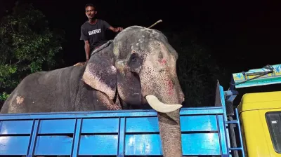 প্রধানমন্ত্রীর নির্দেশে জাতীয় চিড়িয়াখানায় হাতি ‘বাদশা বাহাদুর’