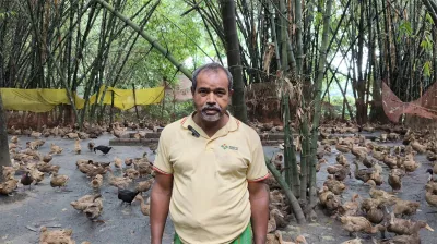 হাঁস খামারেও সফল শিক্ষক জোবেদ আলী
