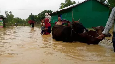 চট্টগ্রামে ১১ জনের প্রাণহানি, পানিবন্দি সাড়ে ৭ লাখ মানুষ