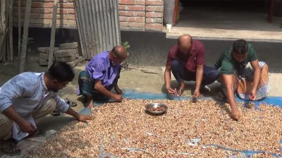 খেজুরের বিচি থেকে কফি