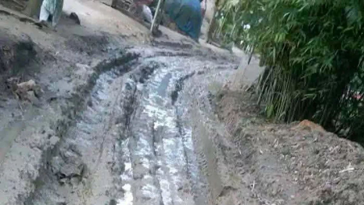 রাস্তার কাজ উদ্বোধনের নামে সাড়ে তিন কিলোমিটার গ্রামীণ সড়কের সব ইট তুলে নিয়ে গেছে একটি প্রতারক চক্র।   প্রবা ফটো