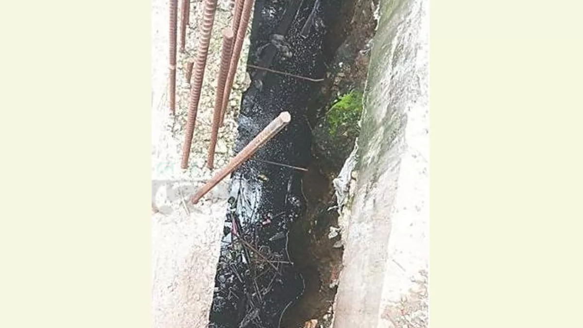 ডিএসসিসির মার্কেটেই মশার কারখানা