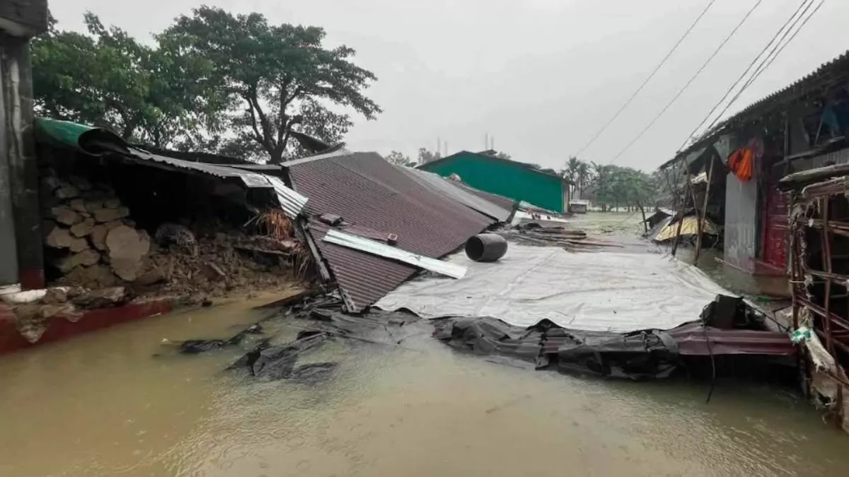 বন্যার পানিতে আশ্রয়স্থল ও বসতবাড়িতে সাপ ঢুকে পড়ায় এখন পর্যন্ত সাপের কামড়ে ৭৫ জন আহত হয়েছেন। ছবি: প্রতিদিনের বাংলাদেশ