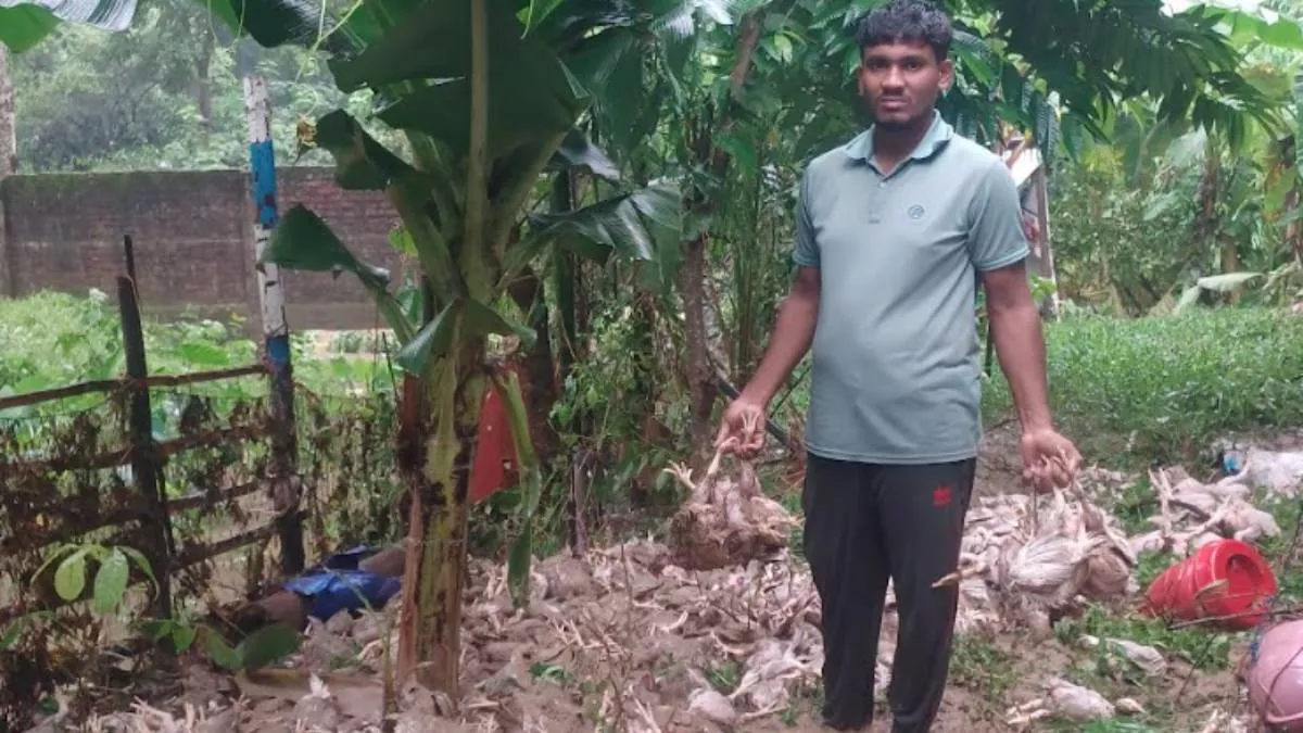 পাহাড় থেকে নেমে আসা ঢলের পানিতে খামারটি প্লাবিত হলে প্রায় ১৫০০ মুরগি মারা যায়। ছবি: প্রতিদিনের বাংলাদেশ