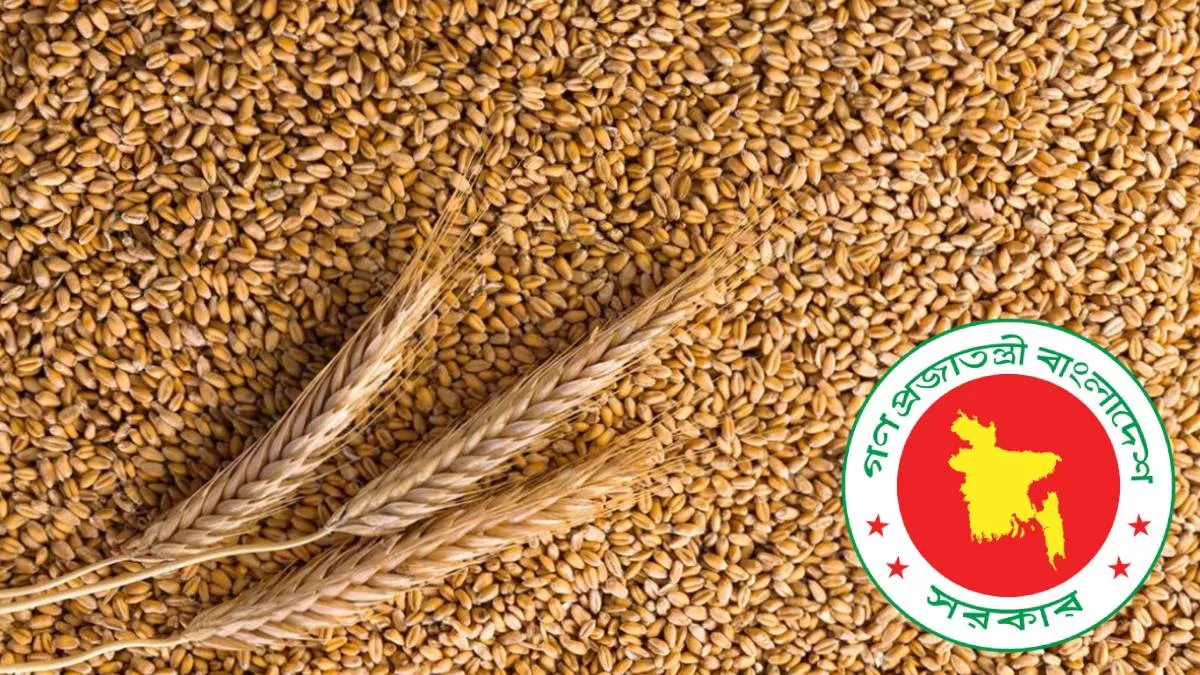 যুক্তরাষ্ট্র-সিঙ্গাপুর থেকে ২ লাখ ৭০ হাজার মেট্রিক টন গম কিনবে সরকার