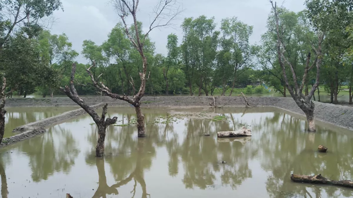 নদীর চর দখল করে চলছে মৎস্যঘের নির্মাণ
