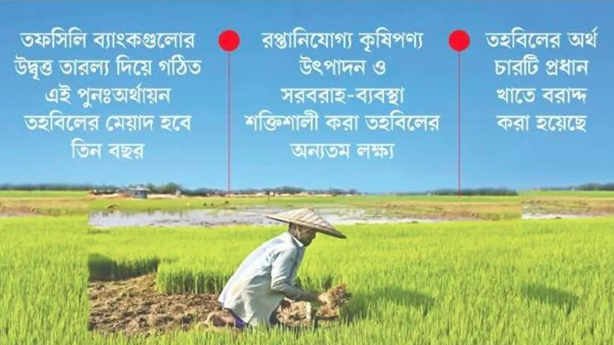 উত্তরবঙ্গের কৃষিতে বিশেষ তহবিল। ছবি: প্রতিদিনের বাংলাদেশ 