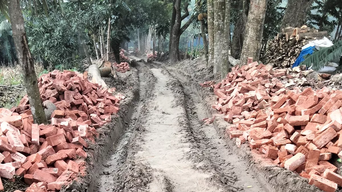 সড়কের সরকারি ইট বিক্রির টাকা মেম্বারের পকেটে