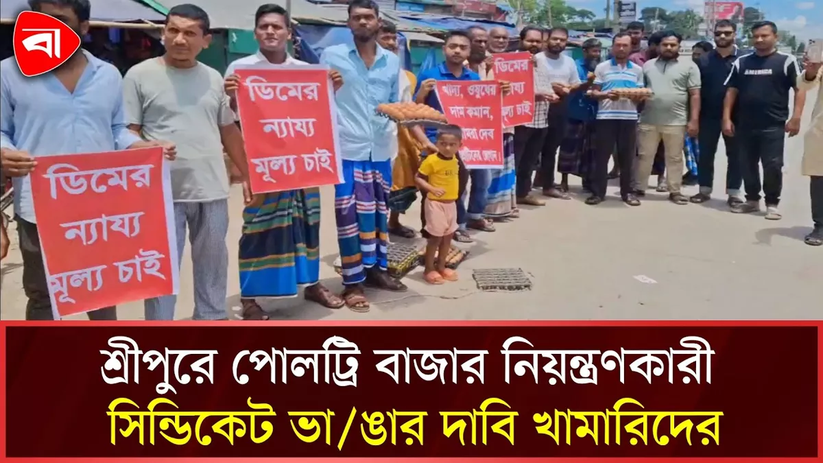  উৎপাদন খরচের চেয়ে কমে ডিম বিক্রি, খামারিদের প্রতিবাদ