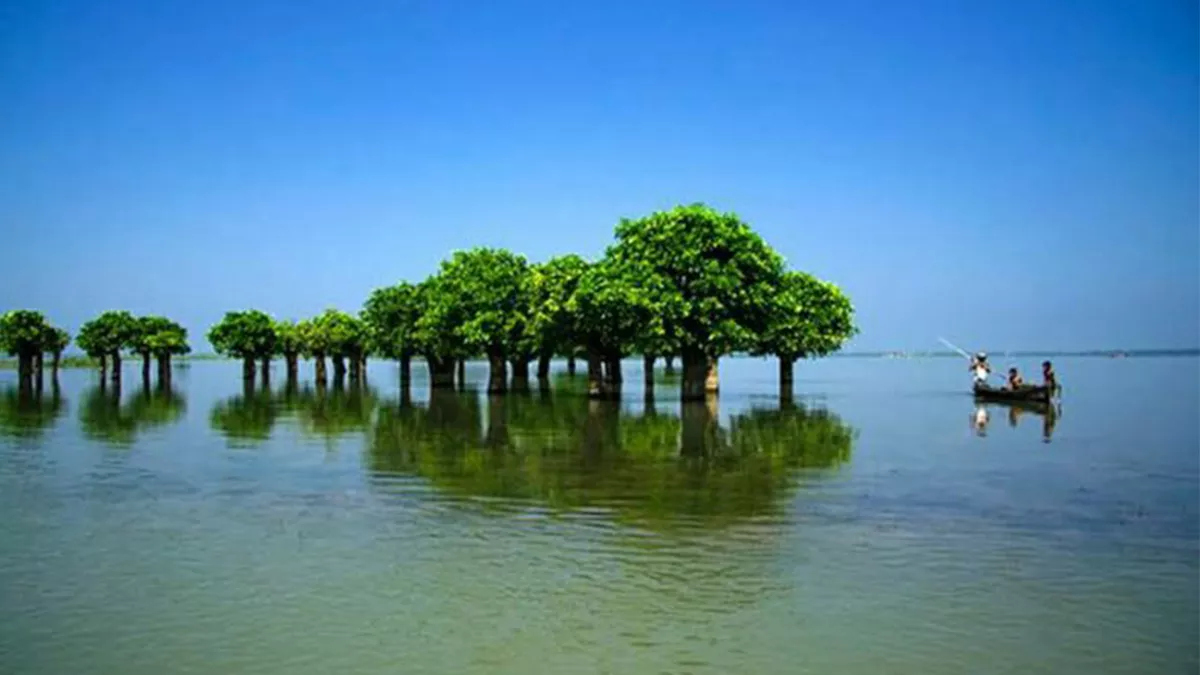 প্রতীকী ছবি