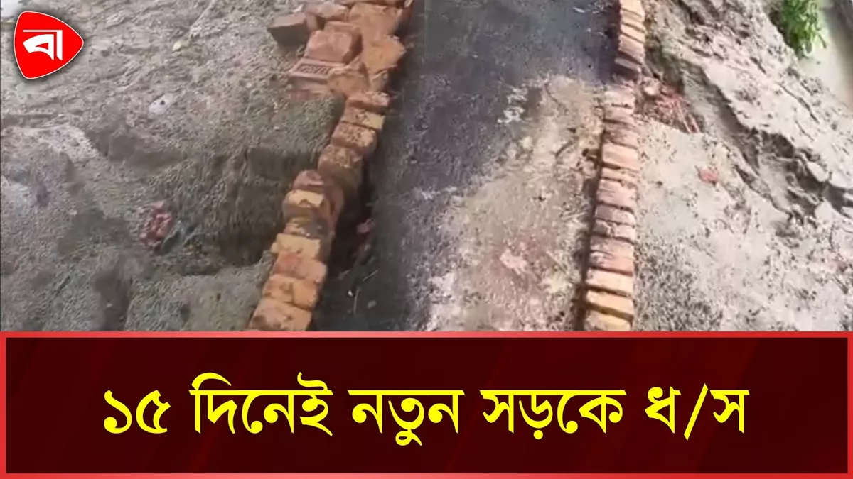 কোটালীপাড়ায় ১৫ দিনেই নতুন সড়কে ধস, নিম্নমানের কাজের অভিযোগ 