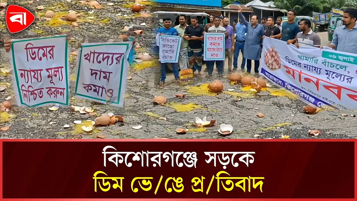  কিশোরগঞ্জে ন্যায্য মূল্য না পেয়ে সড়কে ডিম ভেঙে প্রতিবাদ 