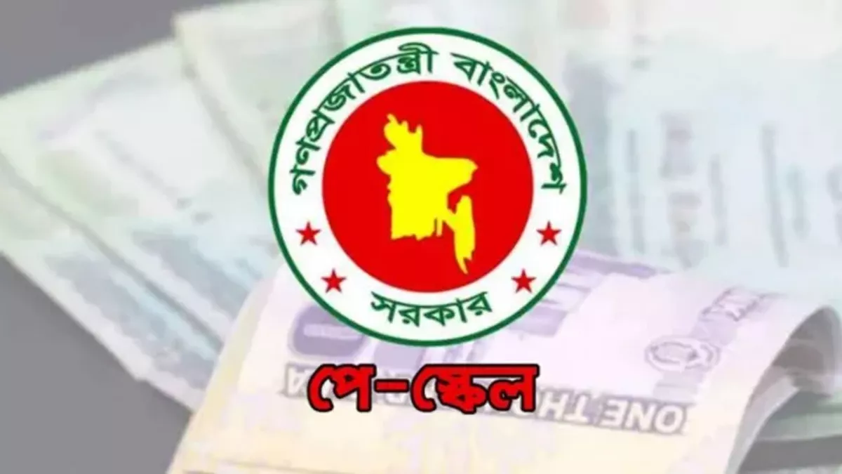 সরকারি চাকরিজীবীদের নতুন পে-স্কেলে ‘মূল বেতন’ বা বেসিক সর্বোচ্চ ১০০ শতাংশ পর্যন্ত বাড়তে পারে। ছবি: সংগৃহীত 