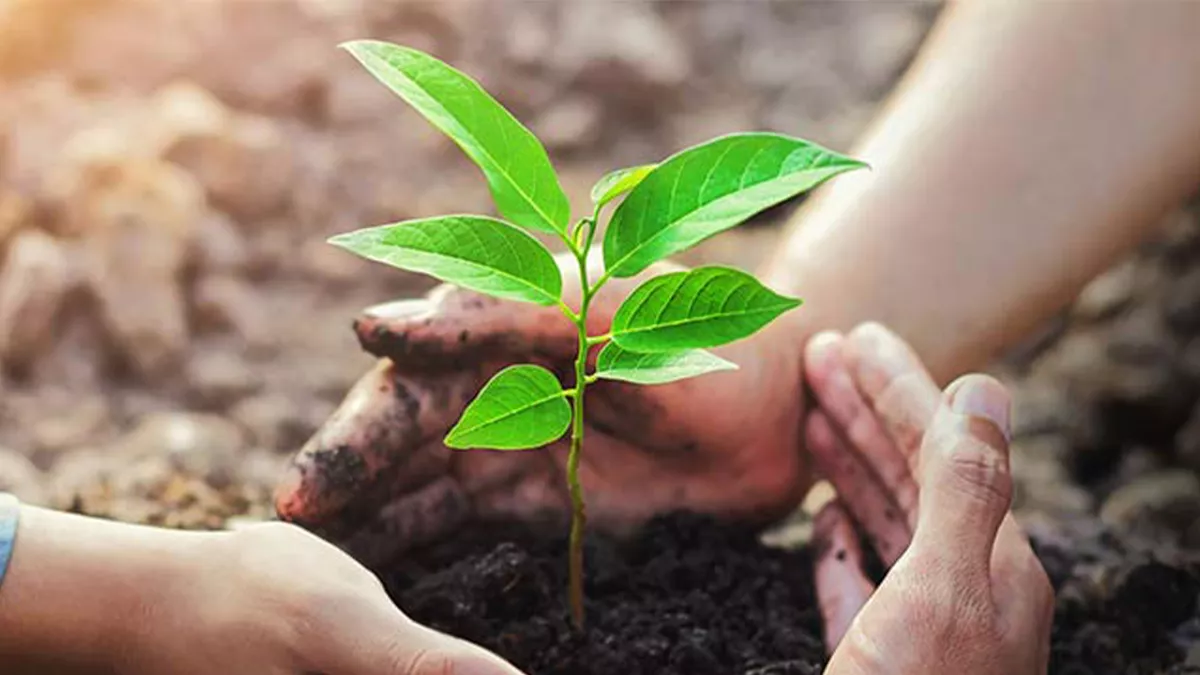 প্রতীকী ছবি