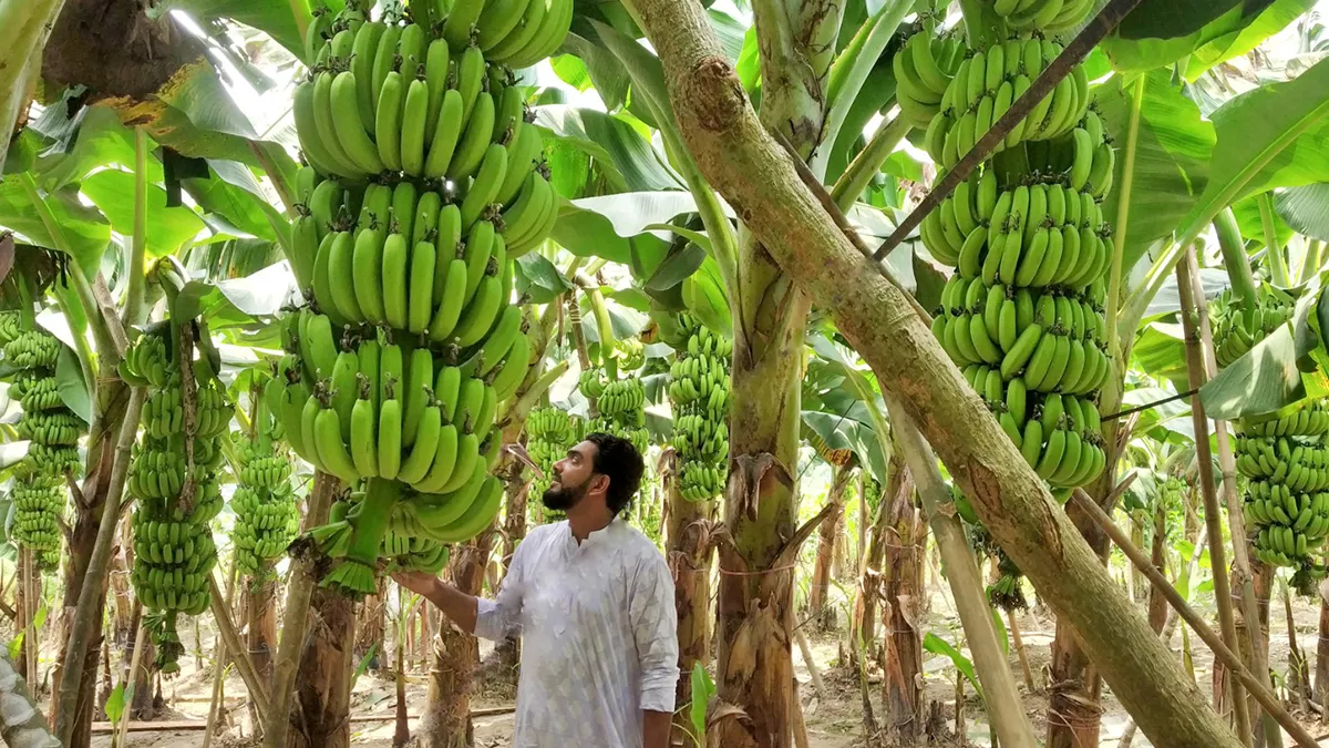 কলাবাগানে আব্দুস সামাদ শেখ