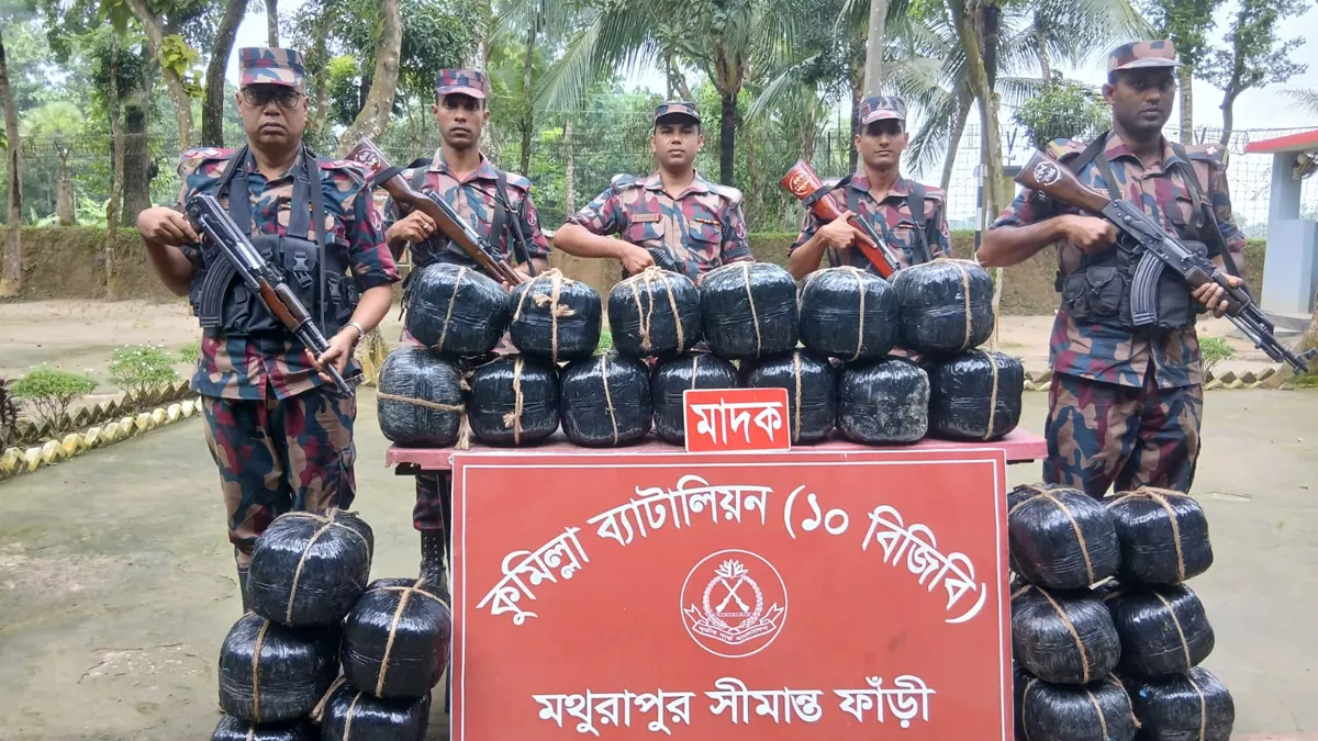 কুমিল্লার সীমান্তবর্তী এলাকায় থেকে ৯৬ কেজি ভারতীয় গাঁজা জব্দ করেছে বর্ডার গার্ড বাংলাদেশ। ছবি: প্রতিদিনের বাংলাদেশ 