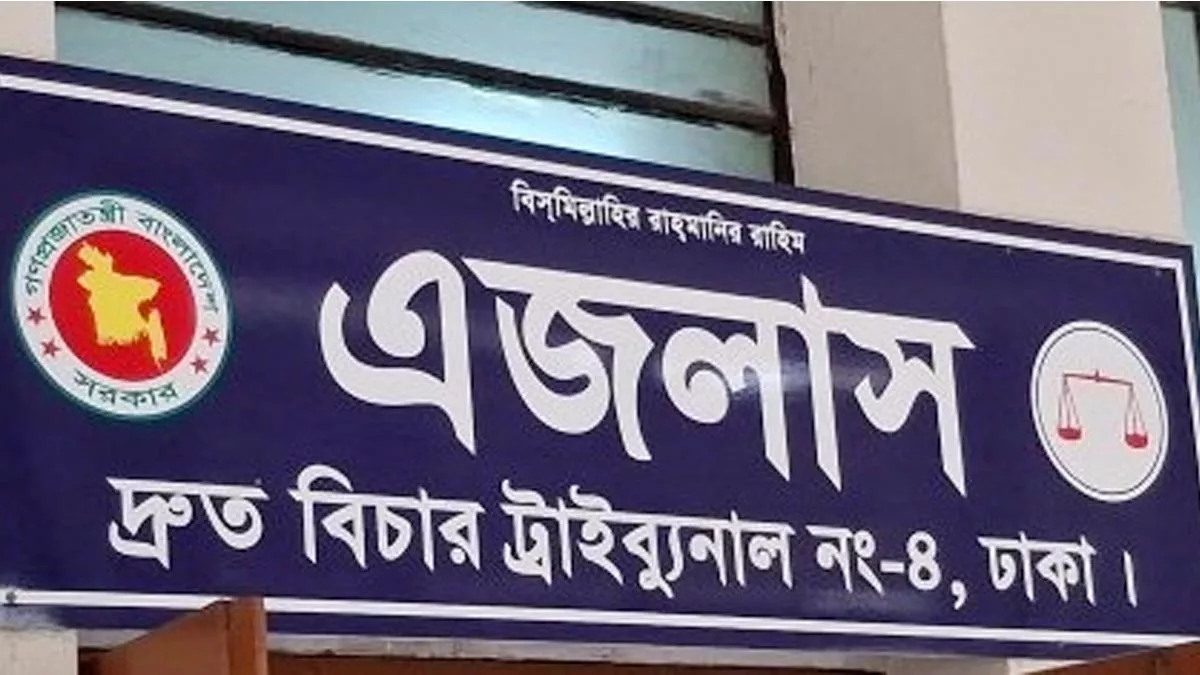 ছবি: প্রতিদিনের বাংলাদেশ 