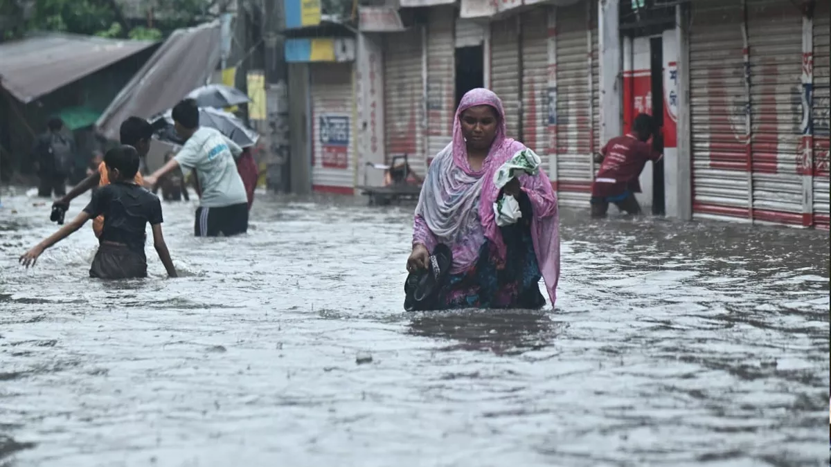 ছবি: প্রতিদিনের বাংলাদেশ 