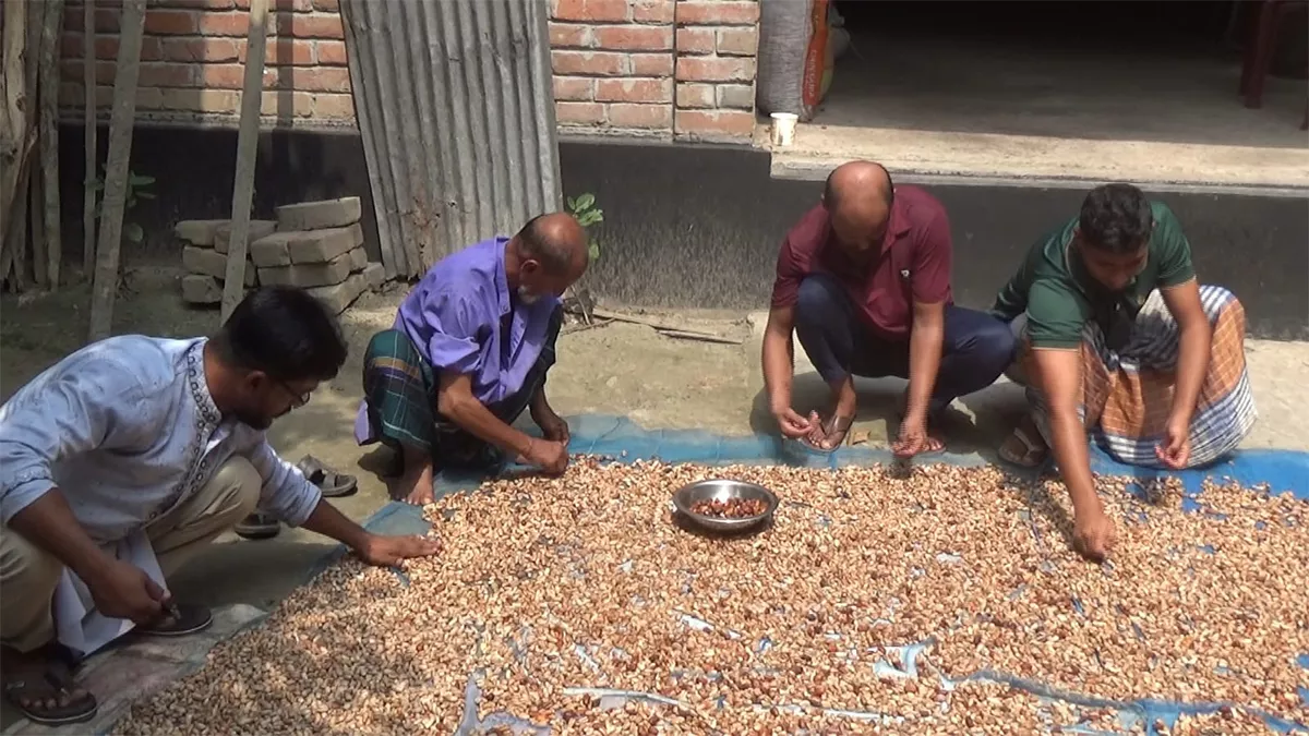 খেজুরের বিচি থেকে কফি