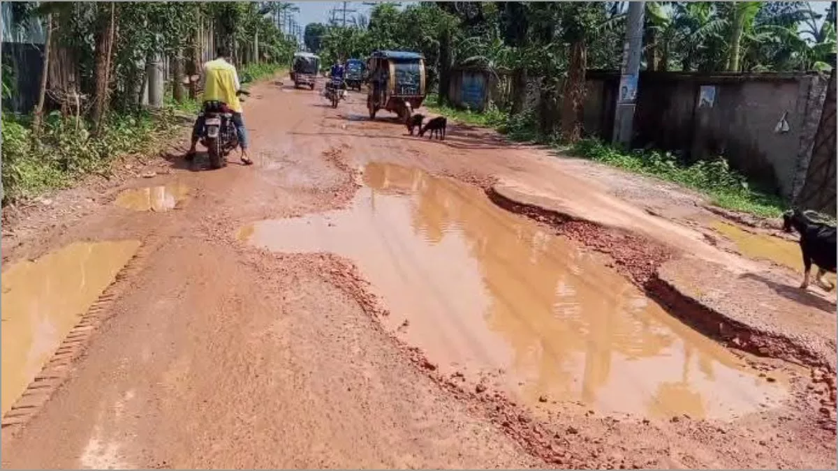 গাজীপুরের শ্রীপুরের মাওনা ইউনিয়নের সলিং মোড় থেকে আনন্দবাজারের মধ্যে রাস্তার একটি অংশ। ছবি: প্রতিদিনের বাংলাদেশ
